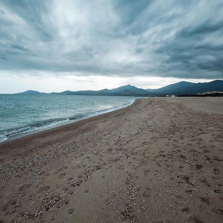 Studio Les Pieds Dans L'Eau Argeles Sur Mer Exterior photo