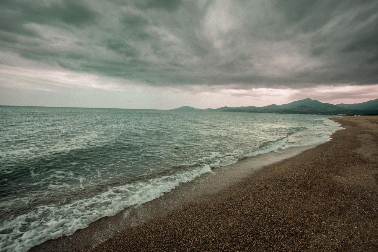Studio Les Pieds Dans L'Eau Argeles Sur Mer Exterior photo
